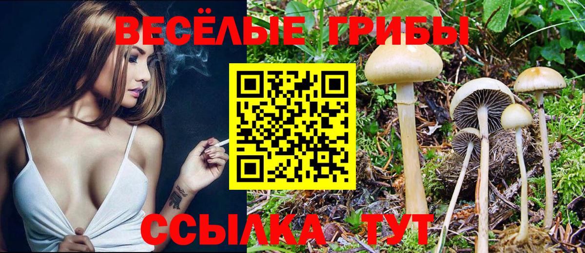 Красноярск  Псилоцибиновые грибы GOLDEN TEACHER  Вход с VPN  Галлюциногенные грибы Cubensis 