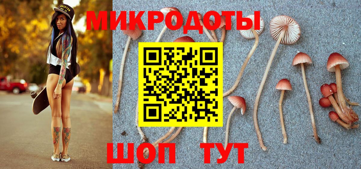 Галлюциногенные грибы прущие грибы Красноярск