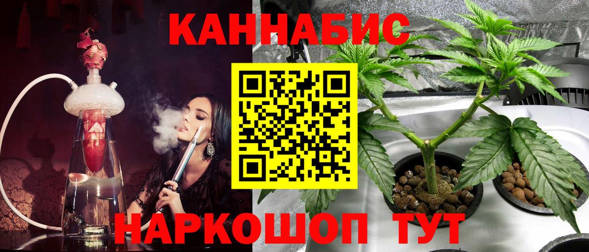 Конопля сатива Красноярск